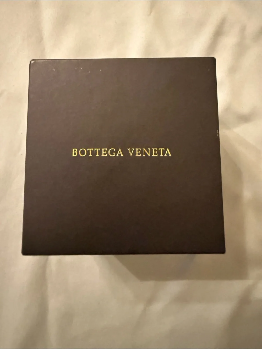 Bottega Veneta Air Pod Case w/ box & dusty